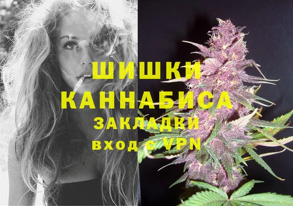 гидропоника Белокуриха