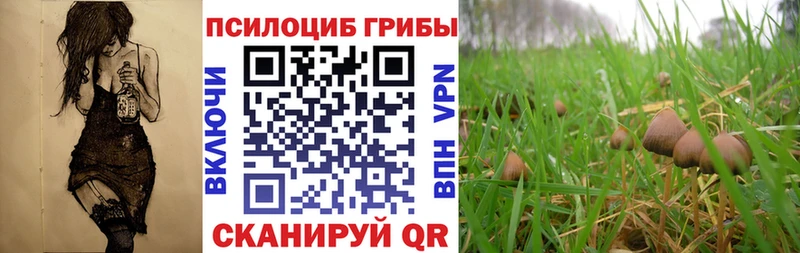 hydra вход Астрахань Галлюциногенные грибы прущие грибы закладки